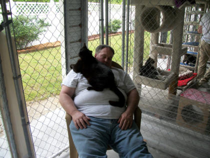 It wouldn't be open house without a picture of Glen asleep with a cat,  this time it is Stevie