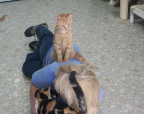 Robin was laying on the floor trying to take pictures, Candy thought she looked comfortable to sit on.