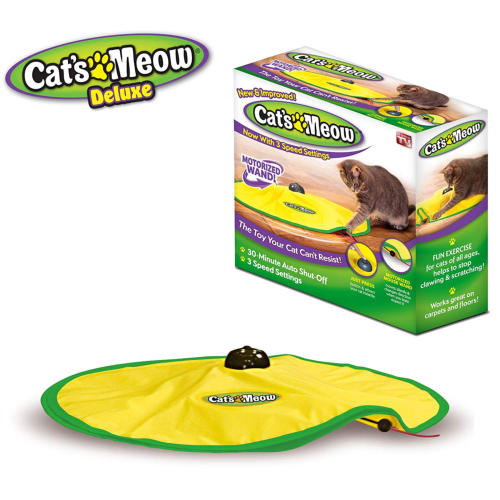 toys for blind cats